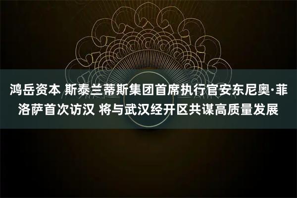 鸿岳资本 斯泰兰蒂斯集团首席执行官安东尼奥·菲洛萨首次访汉 将与武汉经开区共谋高质量发展