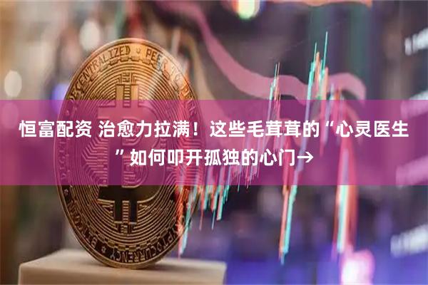 恒富配资 治愈力拉满！这些毛茸茸的“心灵医生”如何叩开孤独的心门→
